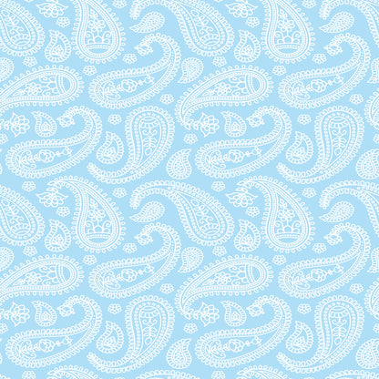 Printed Vinyl - Pastel Paisley