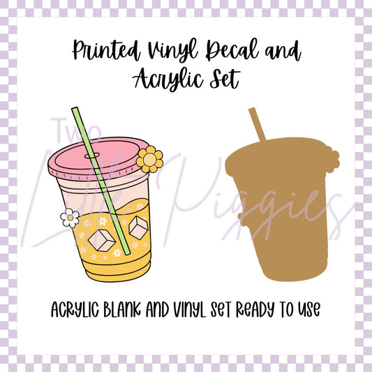 Printed Vinyl and Acrylic Set - Retro Lemonade